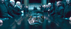 Nagini at Malfoy Manor Dining Table