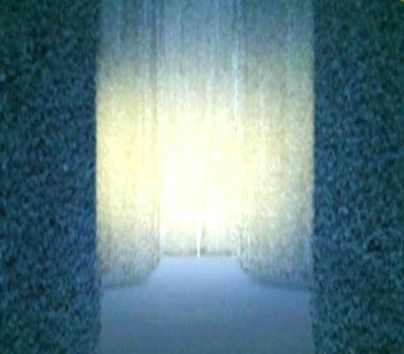 Limbo Mist Harry Potter Wiki