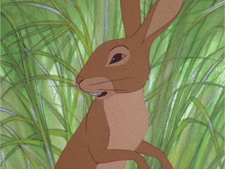 a focus on the character hazel in the story watership down Leadership uncovered richard adams' story watership down tells a tale of the strain of a small warren of rabbits and the transformation of the main character hazel. a focus on the character hazel in the story watership down Leadership uncovered richard adams' story watership down tells a tale of the strain of a small warren of rabbits and the transformation of the main character hazel.