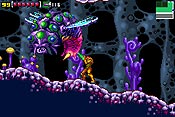 Gran insecto volador