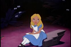 Alice503