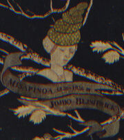 Misapinoa Black
