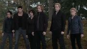 The Cullens 11