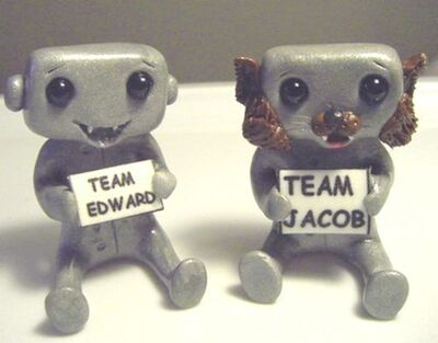 Team twilight bots