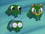 The Three Frogs