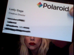 Polaroid Business Card