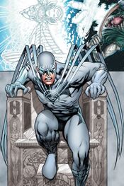 White lantern Hawk