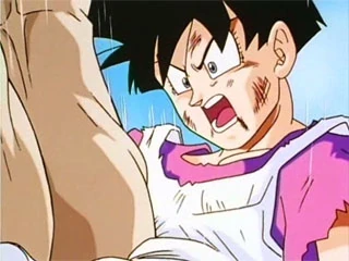 dragonball z videl porn