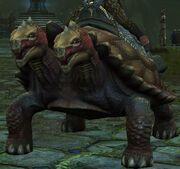 Ancient tartogon
