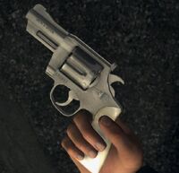 Smith & Wesson