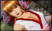 DOAD Kasumi Photo