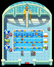 Cerulean Gym HGSS