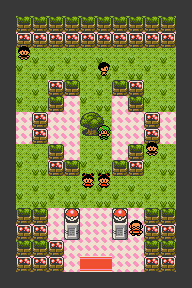 Azalea Gym GS