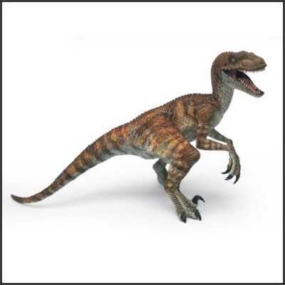 carnivores velociraptor