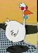 Gallina