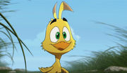 Pollo