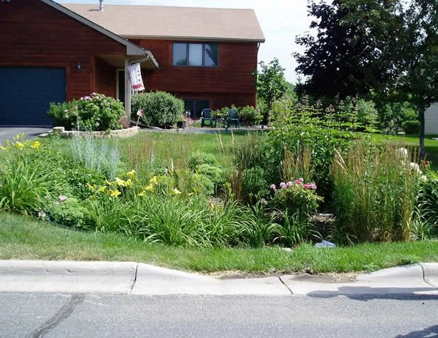 Rain Garden Design and Construction - Sustainable Water Management Wiki