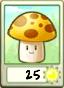 Sun-Shroom