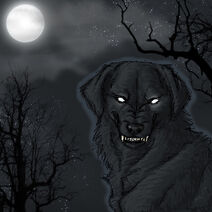 Black Dog ghost