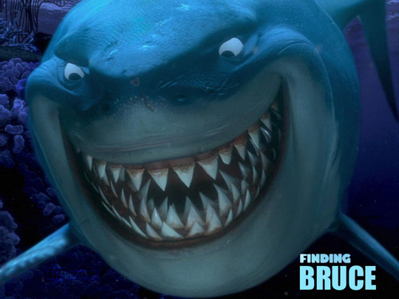 Bruce the Shark - SpongeBob & Friends Adventures Wiki