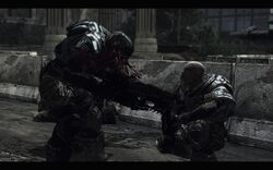 Carmine Headshot