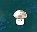 Sun-shroom