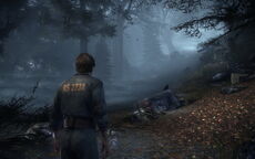 SilentHillForest