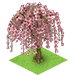 Weeping Cherry Tree-icon