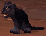 Panther Cub WoW