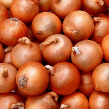 Onionarmy