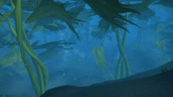 Vashj'elanSpawningPool