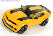 R leader-bumblebee-030