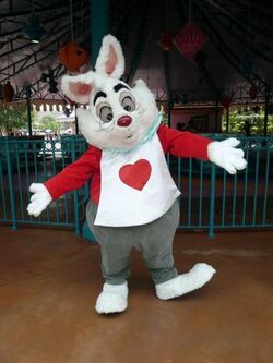 White Rabbit HKDL