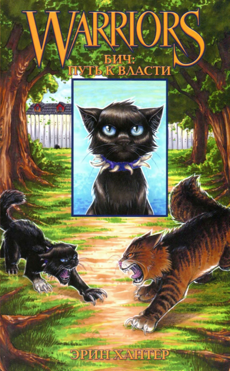 The Rise Of Scourgegallery Warrior Cats Wiki Erin Hunter The