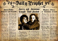 Harry Hermione Gazzetta del Profeta