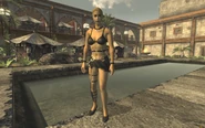 prostitute fallout new vegas