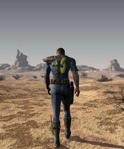 Vault Dweller