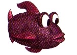 Fangfish