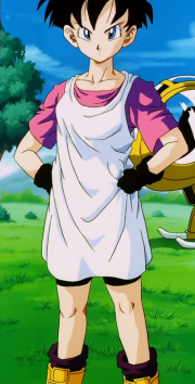 Videl 2