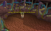 Tolna confused