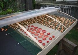 Simply Solar, solar dryer 8-11.jpg
