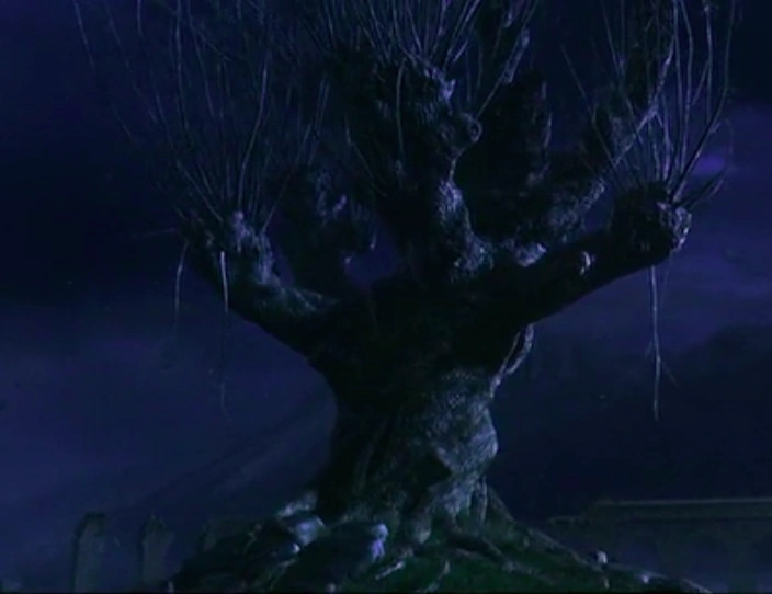 Images of the Whomping Willow Harry Potter Wiki