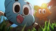 GUMBALL DARWIN
