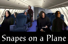 Snapes On A Plane by Day VPuppy