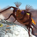 Bumblebeetle1