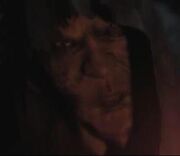 WandererFace