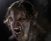Skinwalkerstan 2