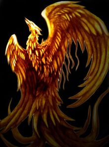 Phoenix bird (1)