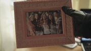 PLL201-1194