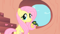 Fluttershy Hearth shape S1E16